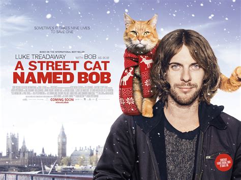 new A Street Cat Named Bob